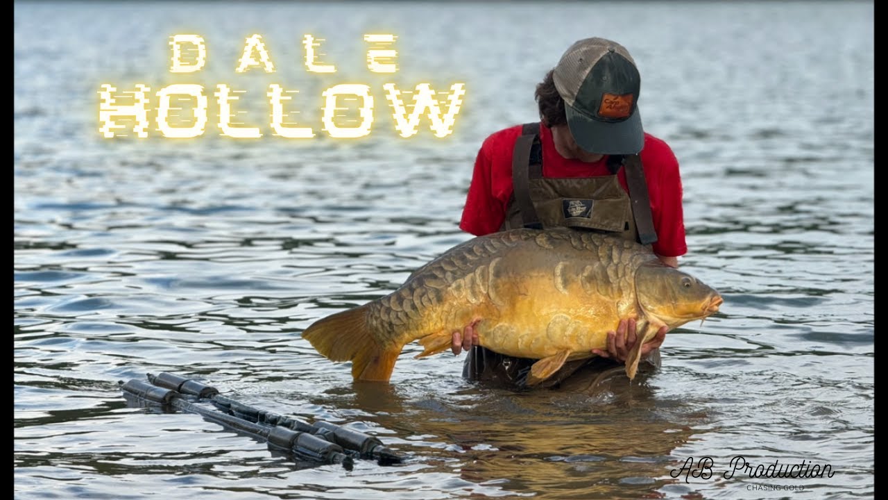 Dale Hollow Carp Fishing: Unlocking the Secrets