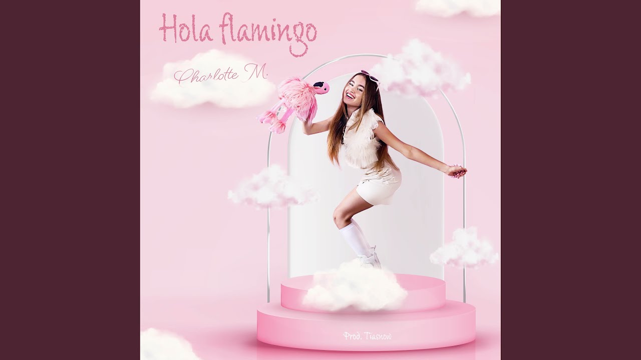 Hola Flamingo