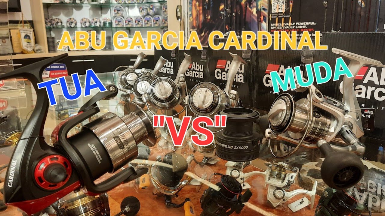 DIKIRA PUNAH TERNYATA BERUBAH!!! REEL ABU GACIA CARDINAL SERIES