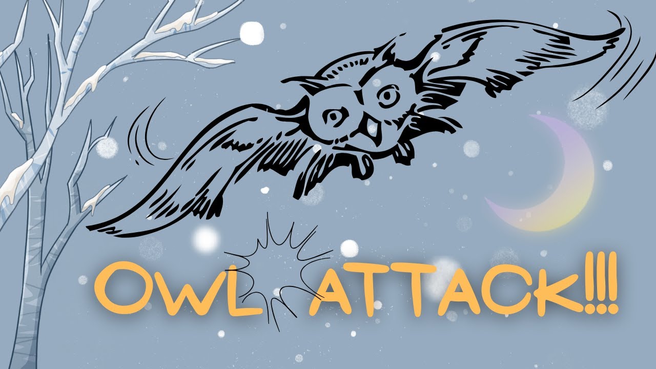 Owlnapped! | Winter Burrow 3