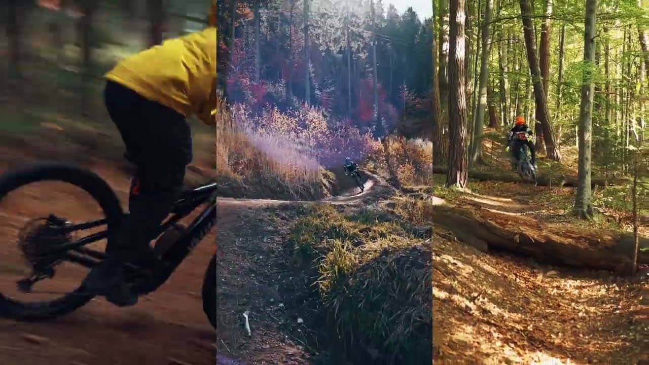 OUTDOORFUN | SWISS&Ocirc;TEL POIANA BRASOV