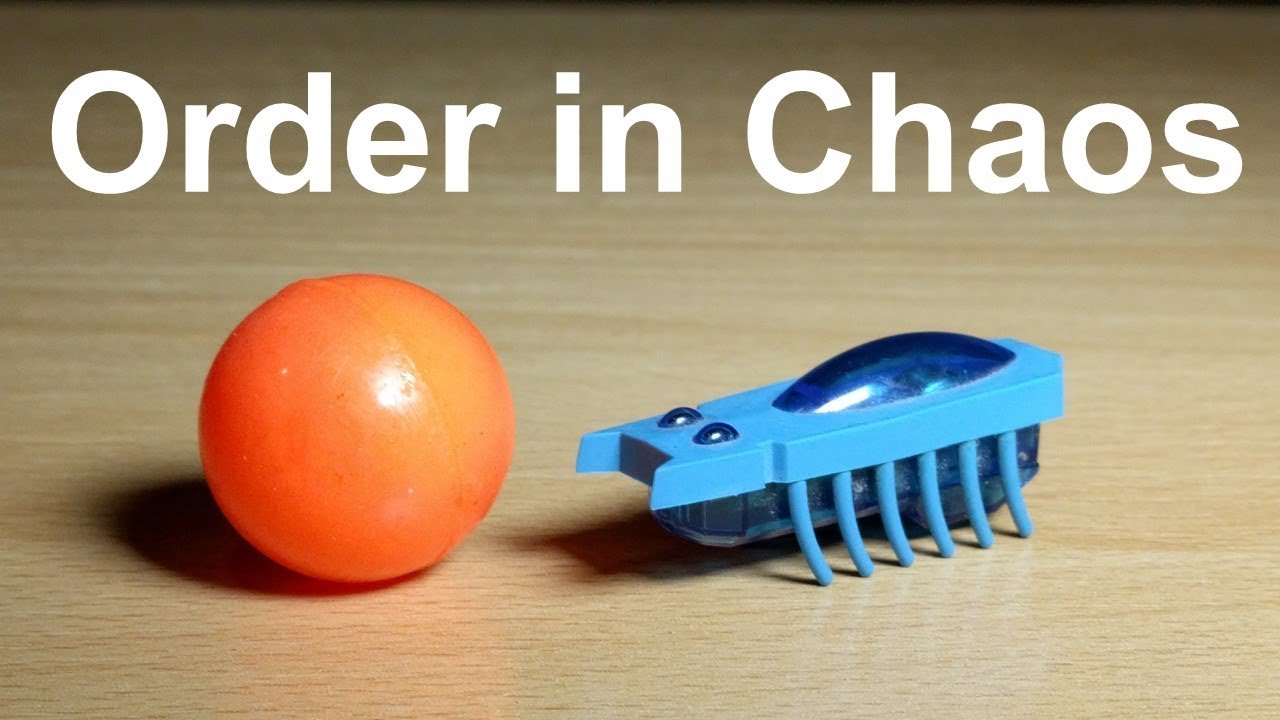 Finding Order in Chaos (with toy bugs)
