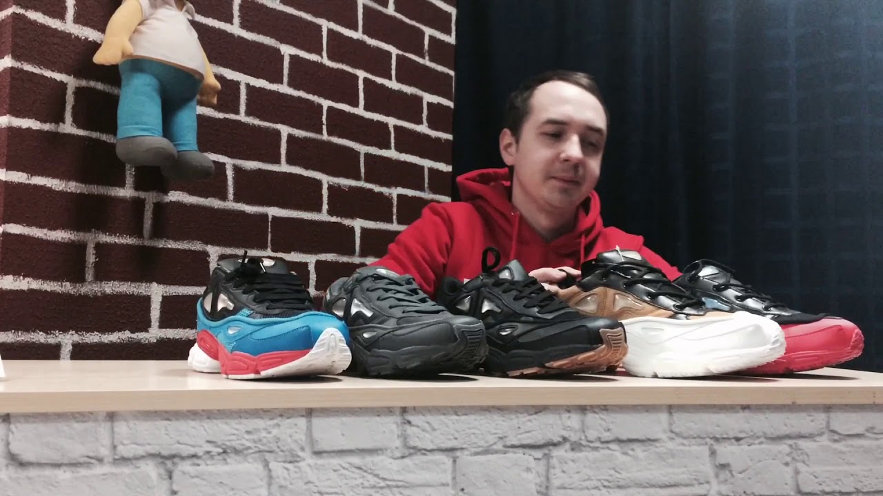 ОБЗОР ADIDAS BY RAF SIMONS OZWEEGO 2/3