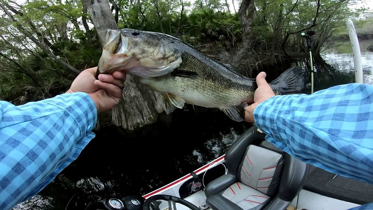 Spring Time Bass Fishing!