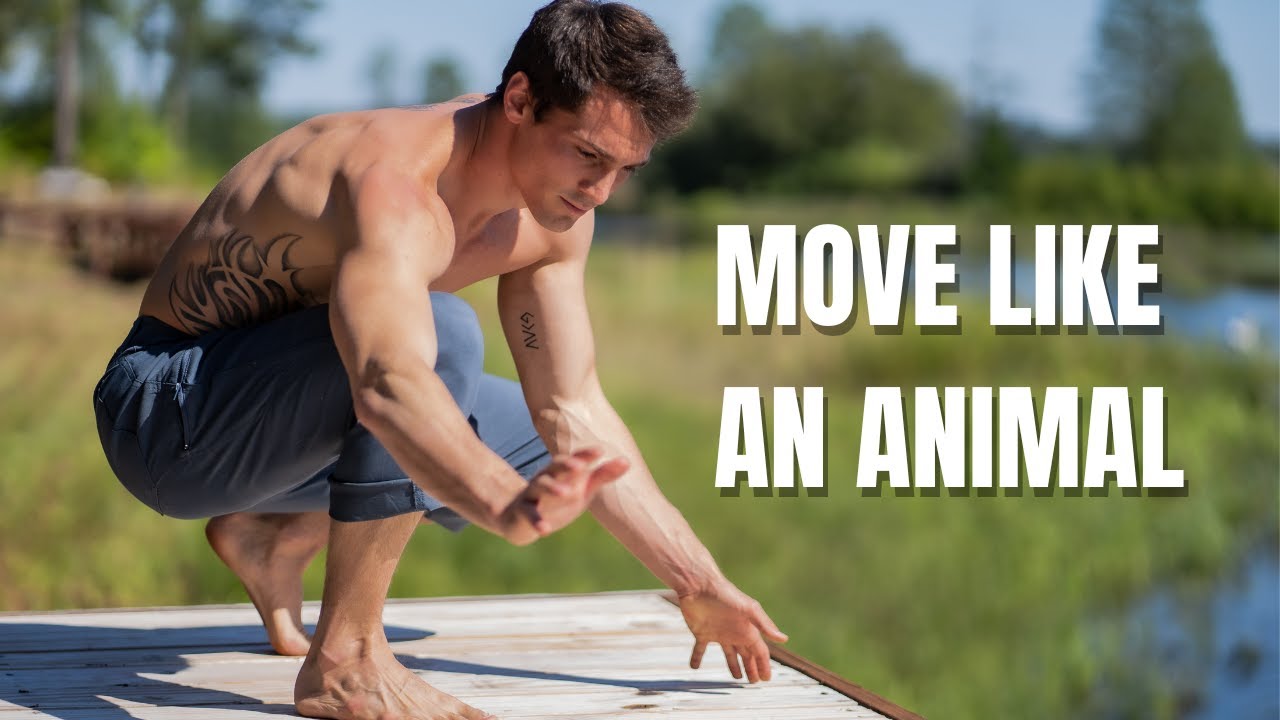 Move Like an Animal | A Playful Follow-Along Locomotion Flow