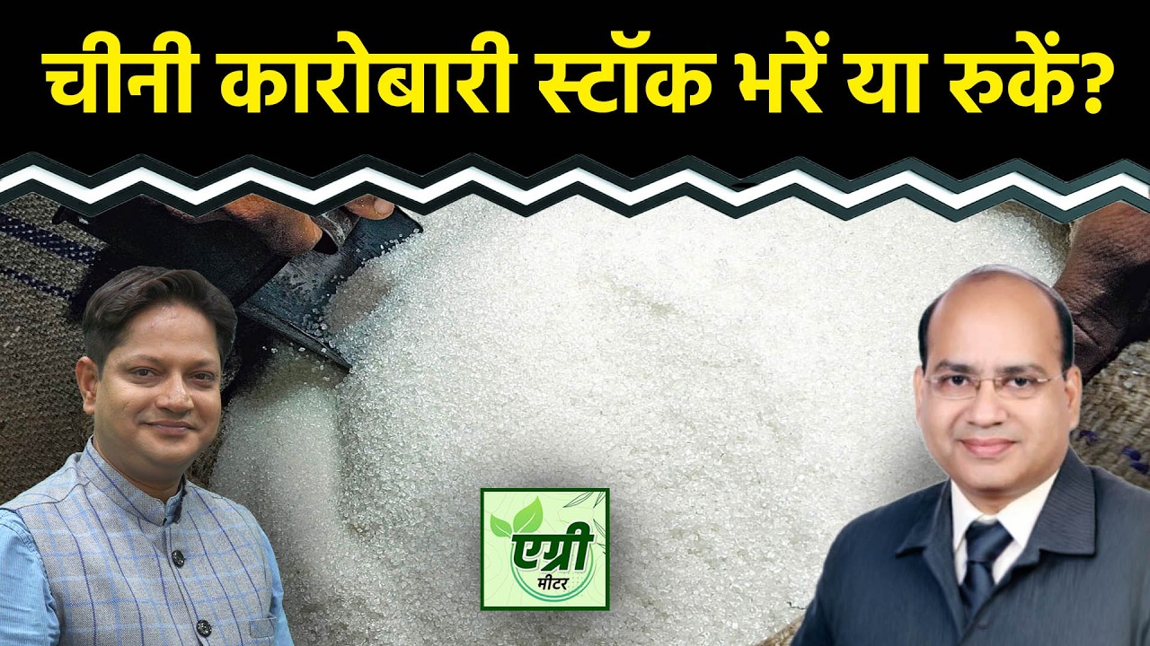 Agri Commodity : अभी तक कैसे रहे चीनी उत्पादन के ताजा आंकड़े? Commodity Market
