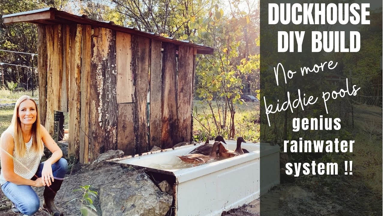 Building a duck house with pool | Simple duck house ideas