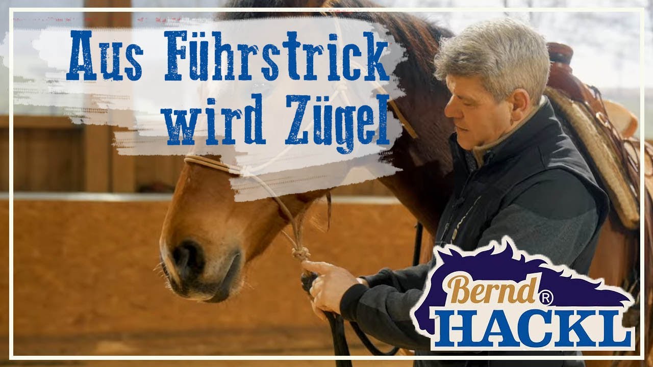 Wie mache ich den F&uuml;hrstrick zum Z&uuml;gel? | HORSEMAN HACK 🐎