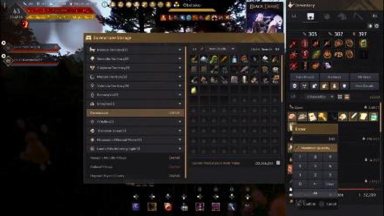 Black Desert Online ReD Battlefield and OpeN WoRLD PVP