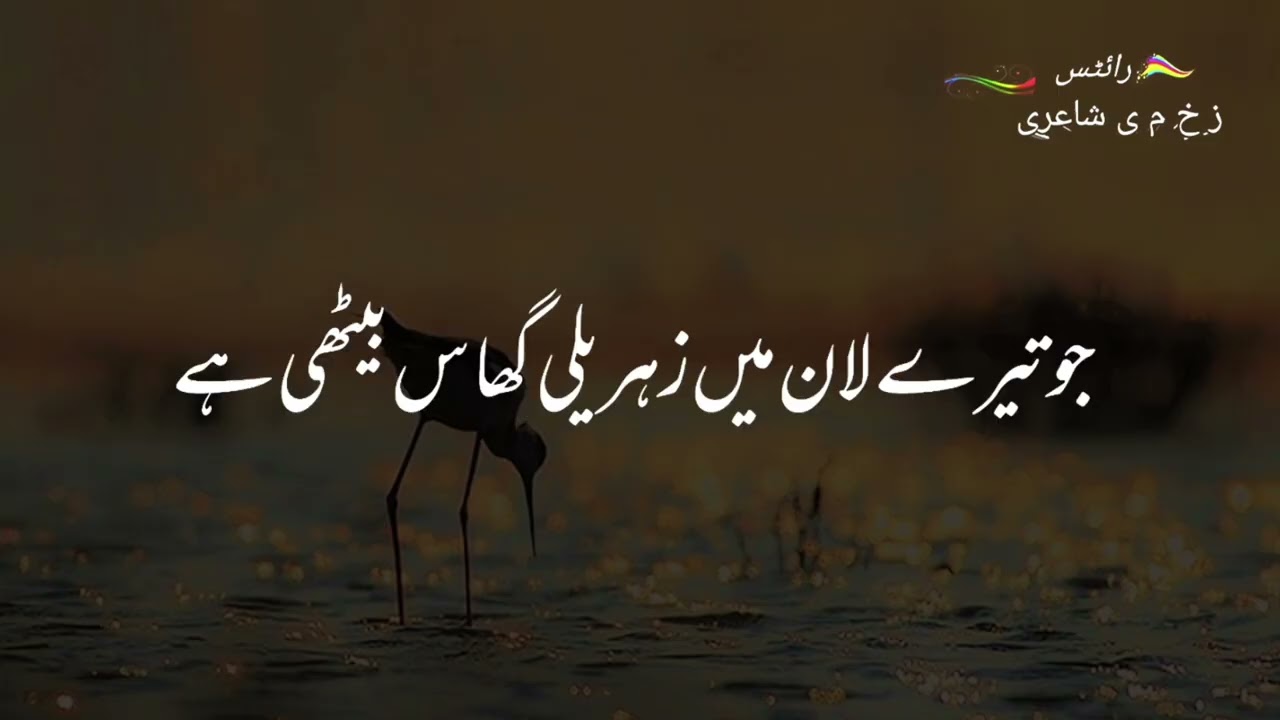 ہم تو آخر یہ دیکھنا ہے۔ رہے گی لہجے میں دھار کب تک۔