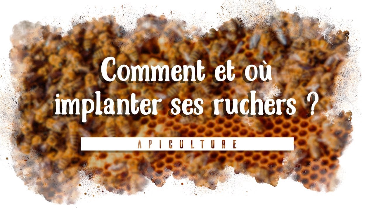 Où et comment implanter ses ruches ?