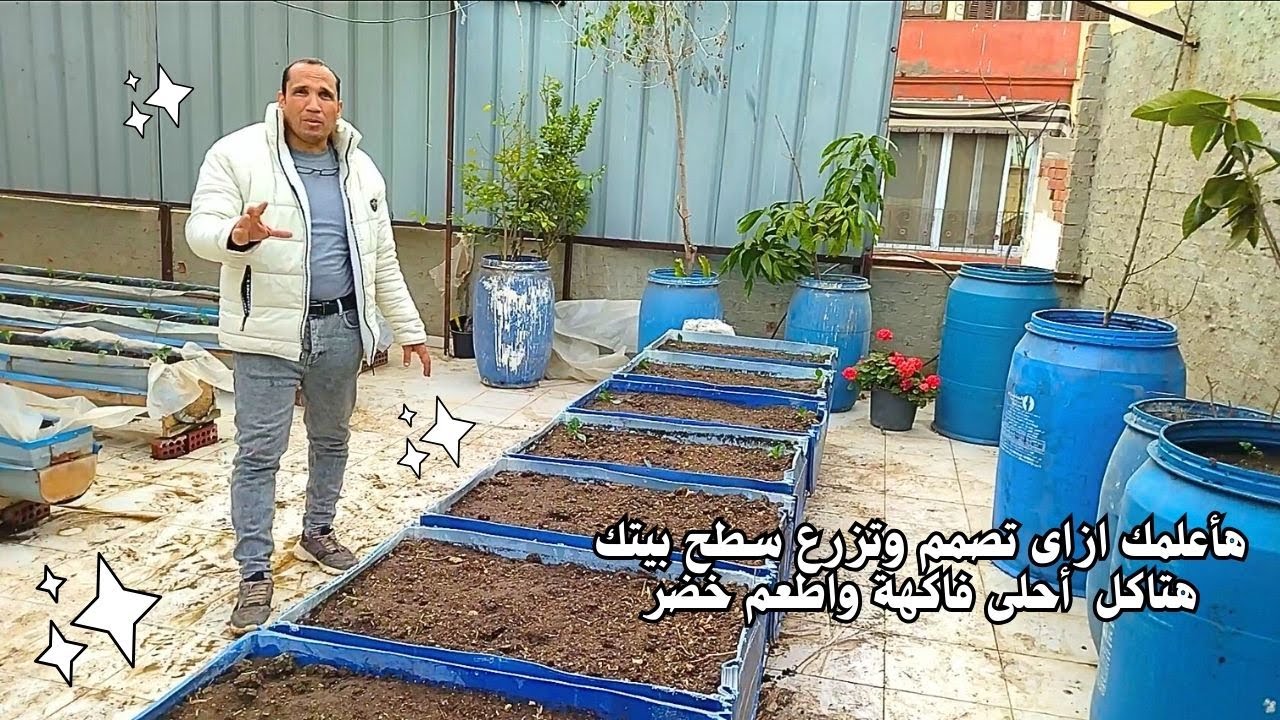 تعالي هعلمك ازاي تزرع سطح بيتك وتاكل احلي فاكهة واطعم خضر تصميم سطح  في المنصورة ( Roof planting )