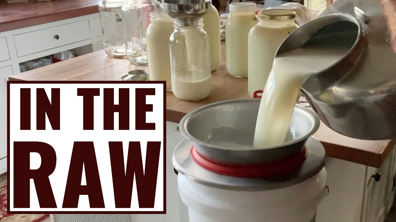Processing Milk from 2 Cows