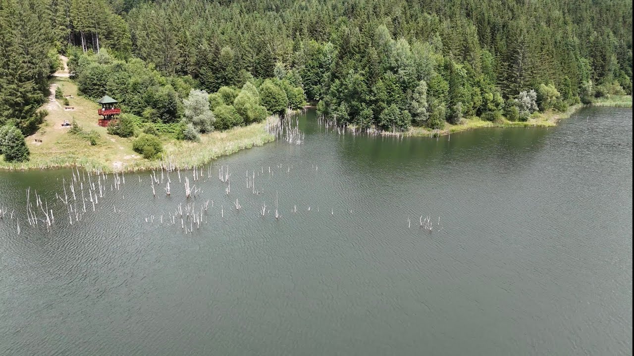 Lacul Cuejdel. Munții Stânișoarei.🇹🇩🇹🇩🇹🇩 Traseu ușor pentru copii și drumeți mai puțin antrenați.