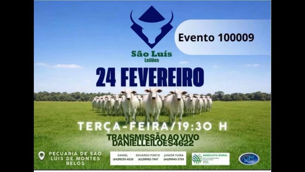 São Luis de Montes Belos - GO   24/02/2026