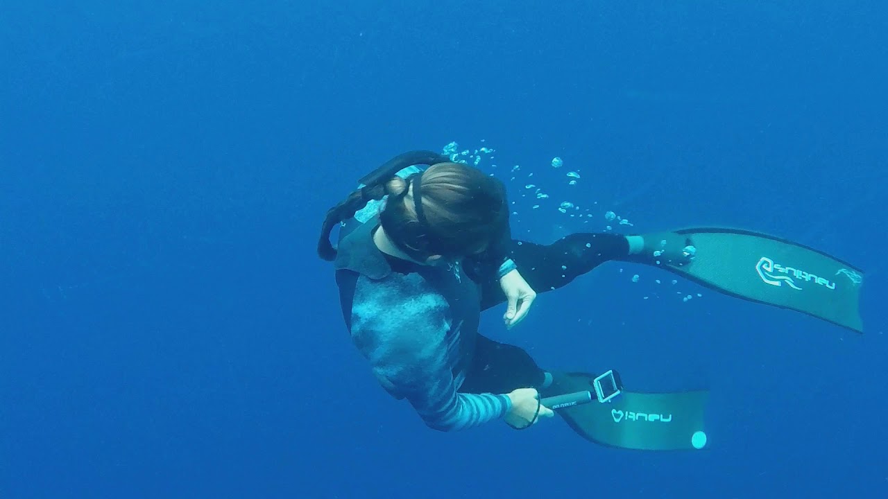 Oahu 2019 Open Water Shark Snorkel