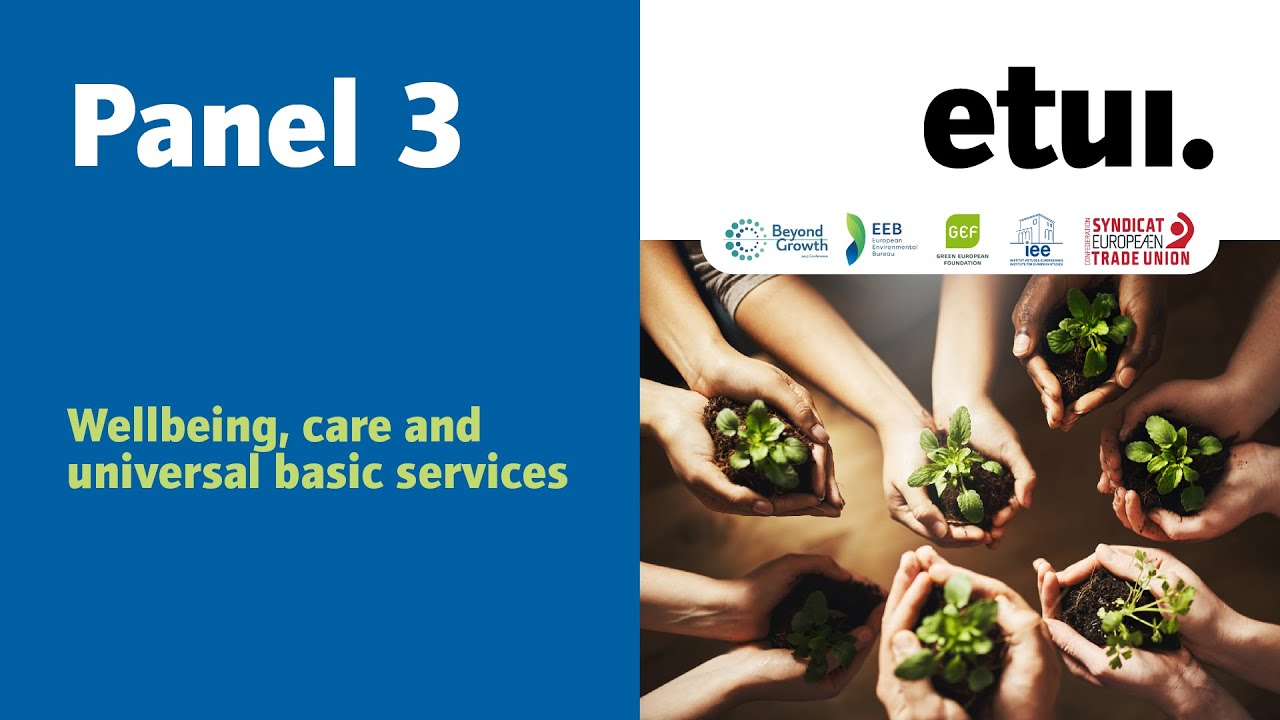 Panel 3: Wellbeing, care and universal basic services