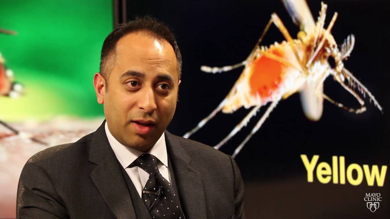 Dr. Pritish Tosh Discusses Yellow Fever