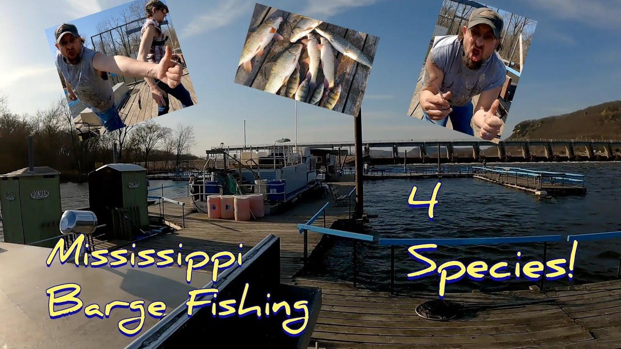 The Great Alma Fishing Float! Mississippi barge fishing (Multi-species day) Lots of fish!