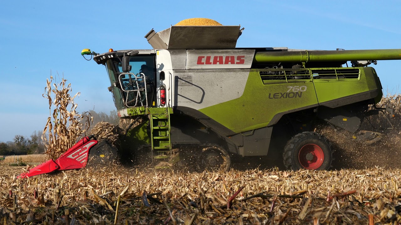 Moisson de Maïs 2021 avec une Claas Lexion 760 Terra Trac ! 🌽🌽