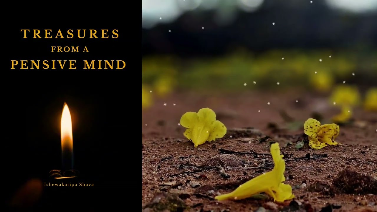 I Have Seen Enough - Official Theme from Treasures from a Pensive Mind