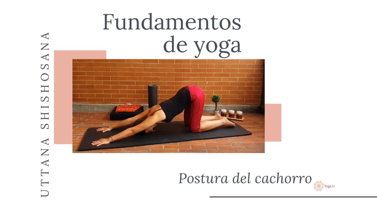 Uttana Shishosana - Postura del Cachorro