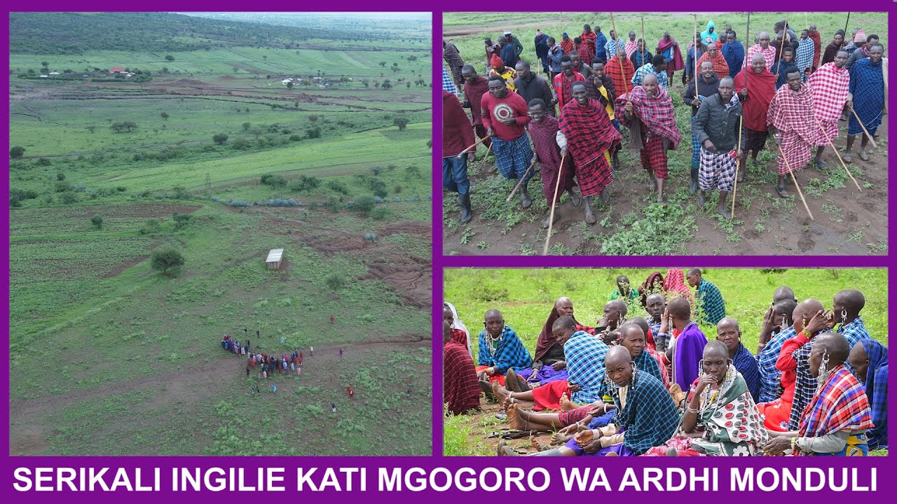 TAHARUKI# MGOGORO WA ARDHI MONDULI, SERIKALI YATAKIWA KUINGILIA KATI HARAKA