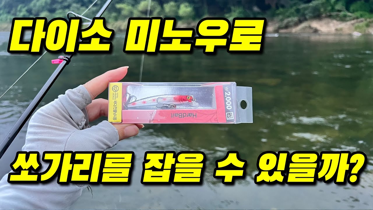 다이소 미노우로 쏘가리를 잡을 수 있을까? #쏘가리낚시