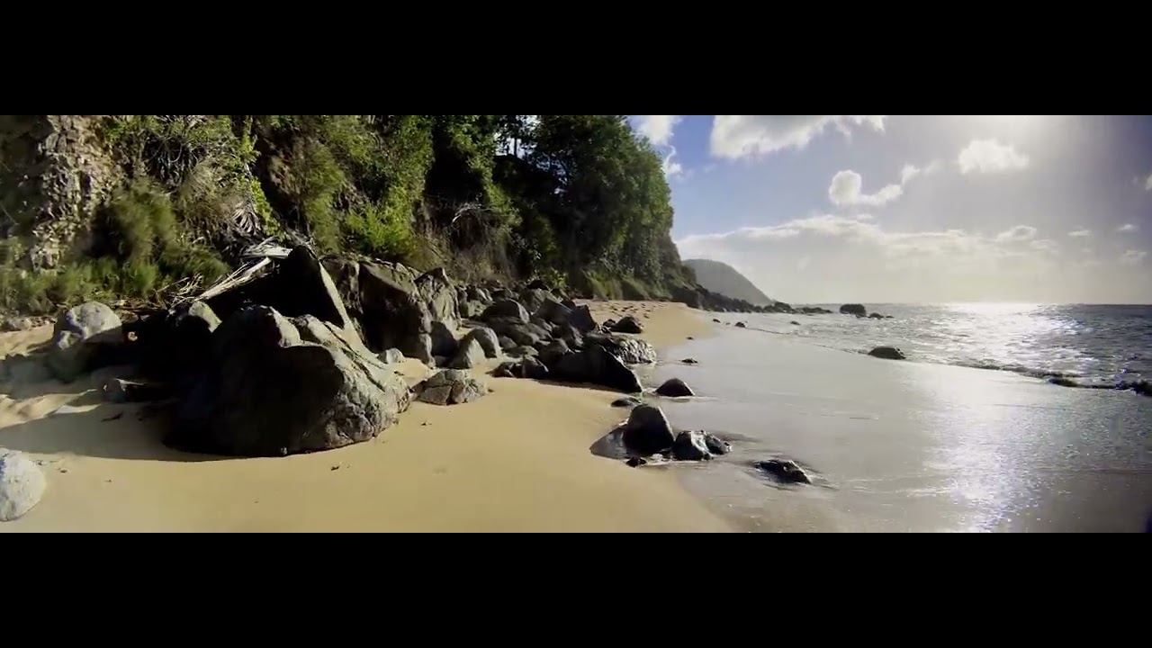 Plage Guadeloupe 4K