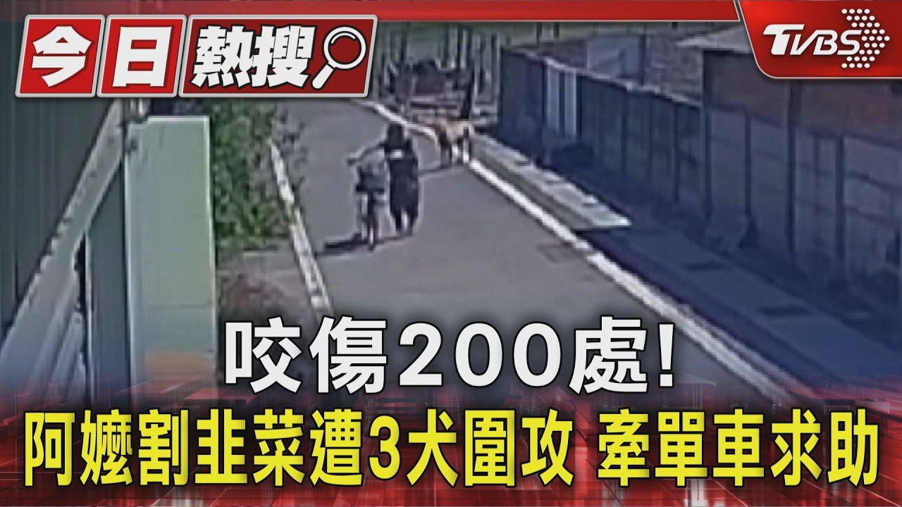 3犬狂咬76歲嬤! 跌倒田中「打滾掙扎」 全身傷口約200處｜TVBS新聞 @TVBSNEWS01