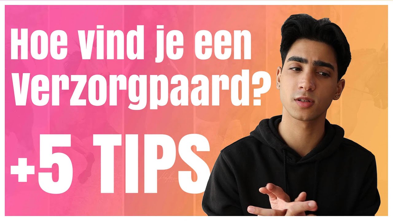 Hoe vind je een verzorgpaard of verzorger? + 5 TIPS! | Rohan Mahadat