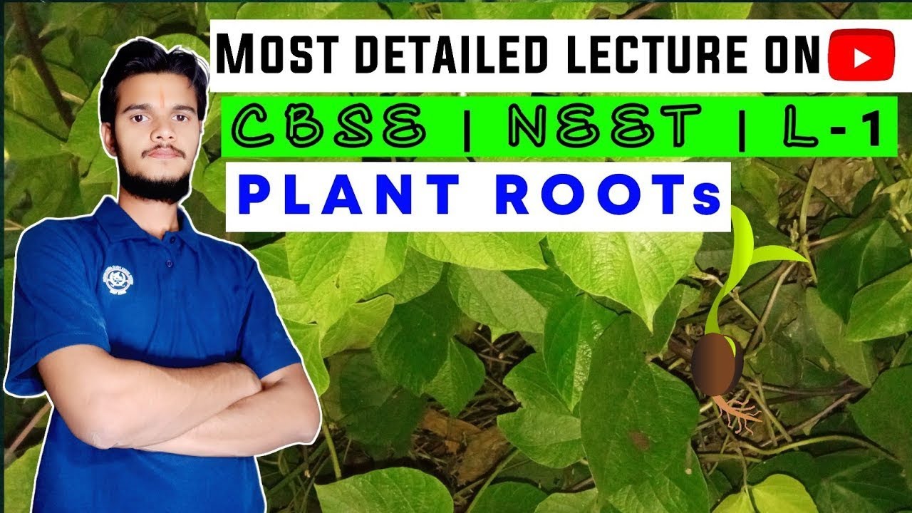 ROOTs OF PLANTs _L-1_Most detailed lecture on Youtube _theconcepthunter _botany _neetbiology