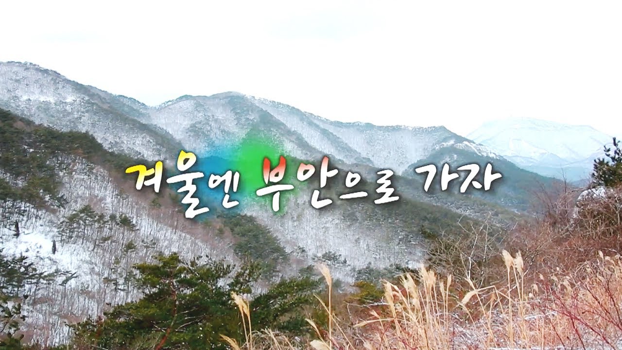 JTV전주방송│[다큐멘터리] 겨울엔 부안으로 가자 / 17년 3월 3일 방송