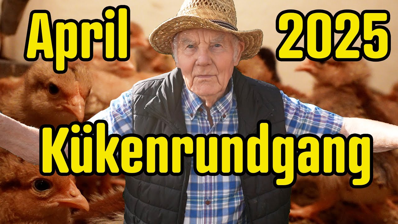 Hühnerrundgang mit Edu im April 2025
