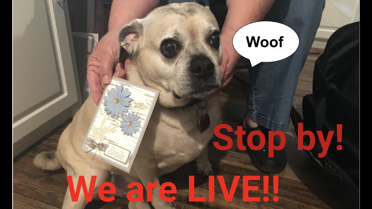 Marcias crafts 1st Live Stream!! Come stop by!! (Daisy Lane Card)