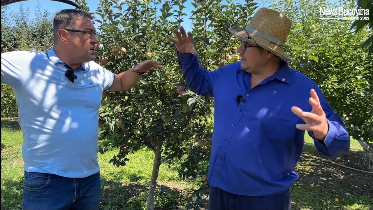 E măcel la Vornicenii Mari - Primăria le strânge cu sacii, Berzele ard pe capete! Nu e glumă...
