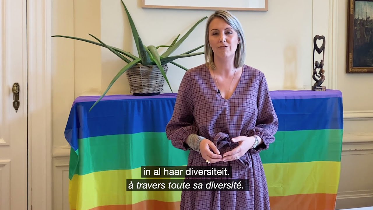 LGBT+ bij Defensie, wat betekent dat vandaag? - Que signifie LGBT+ à la Défense aujourd’hui ?