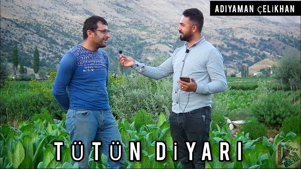 Adıyaman Çelikhan (Tütün Diyarı)  #tütün #adıyamantütünü #çelikhan #adıyaman #adiyaman #köylününsesi