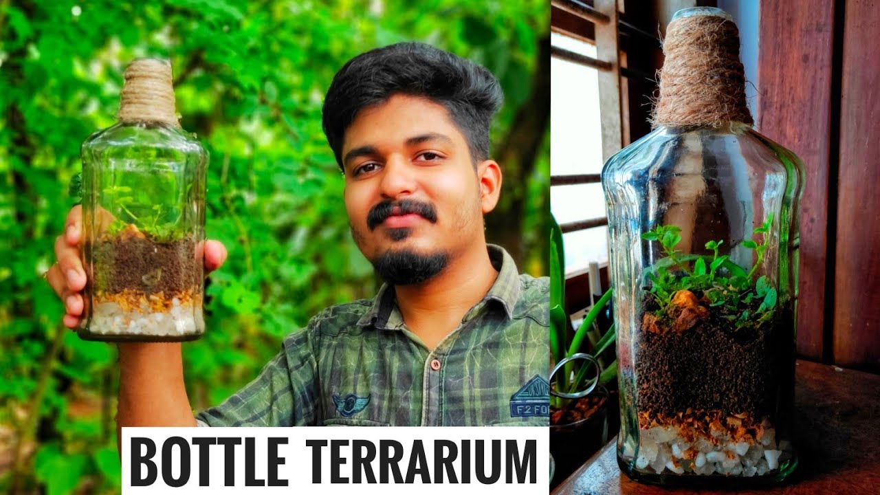 How to make a Terrarium for free | Terrarium DIY | Green Toons
