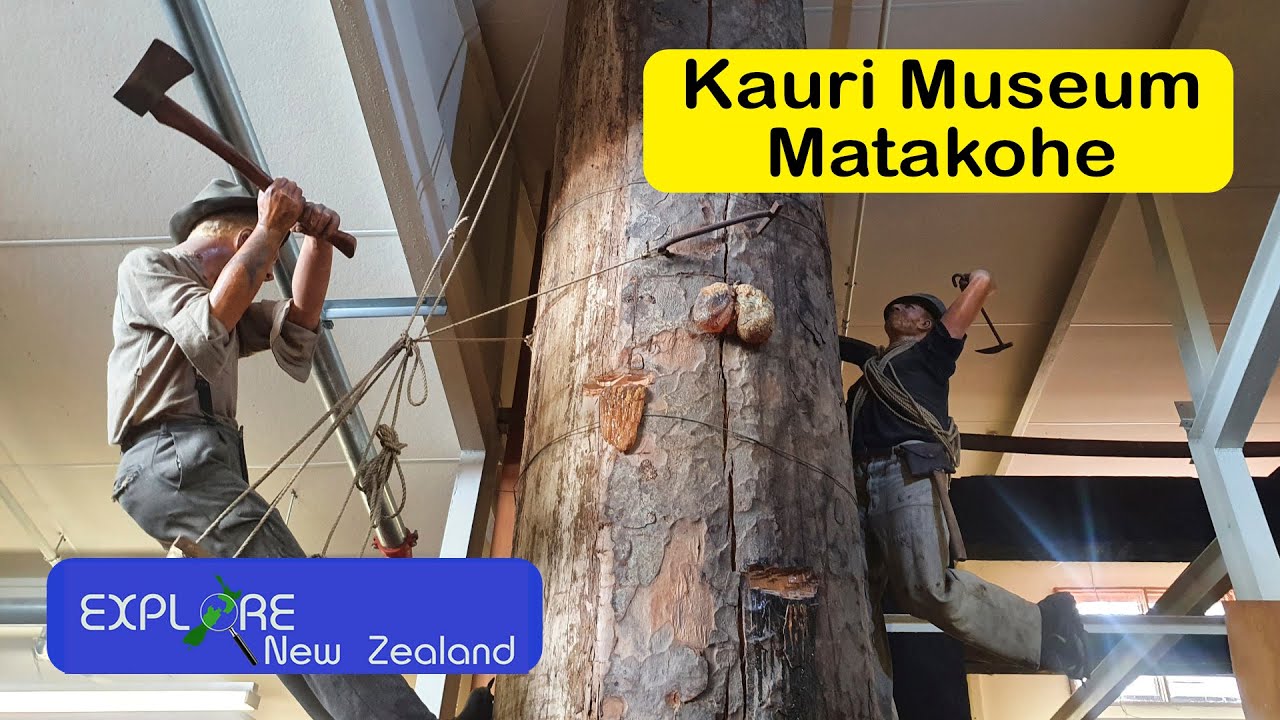 Exploring the Matakohe Kauri Museum - A Hidden Gem!