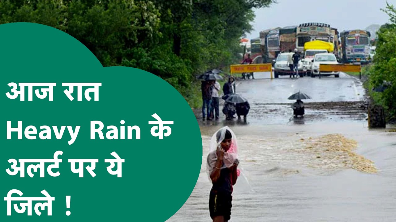 MP Rain News: आज इन जिलों में Heavy Rain का अलर्ट, मौसम विभाग ने जारी की चेतावनी! |MP Tak