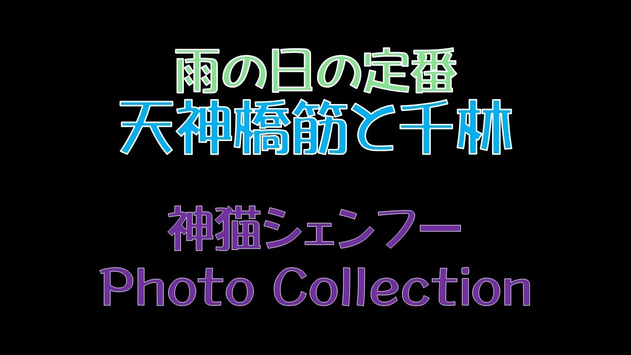 雨の日の定番　天神橋筋から千林　神猫シェンフー　Photo Colection