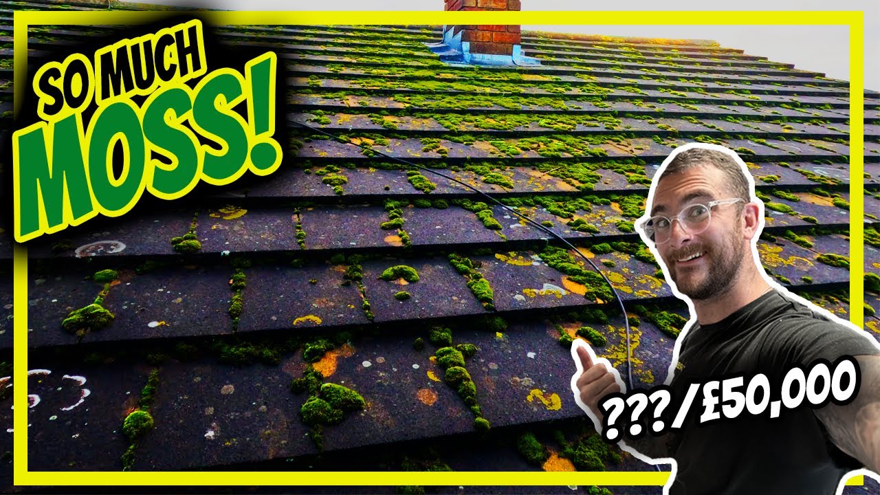 Этот клиент устал от мха на своей террасе, поэтому мы помыли ему крышу под высоким давлением.