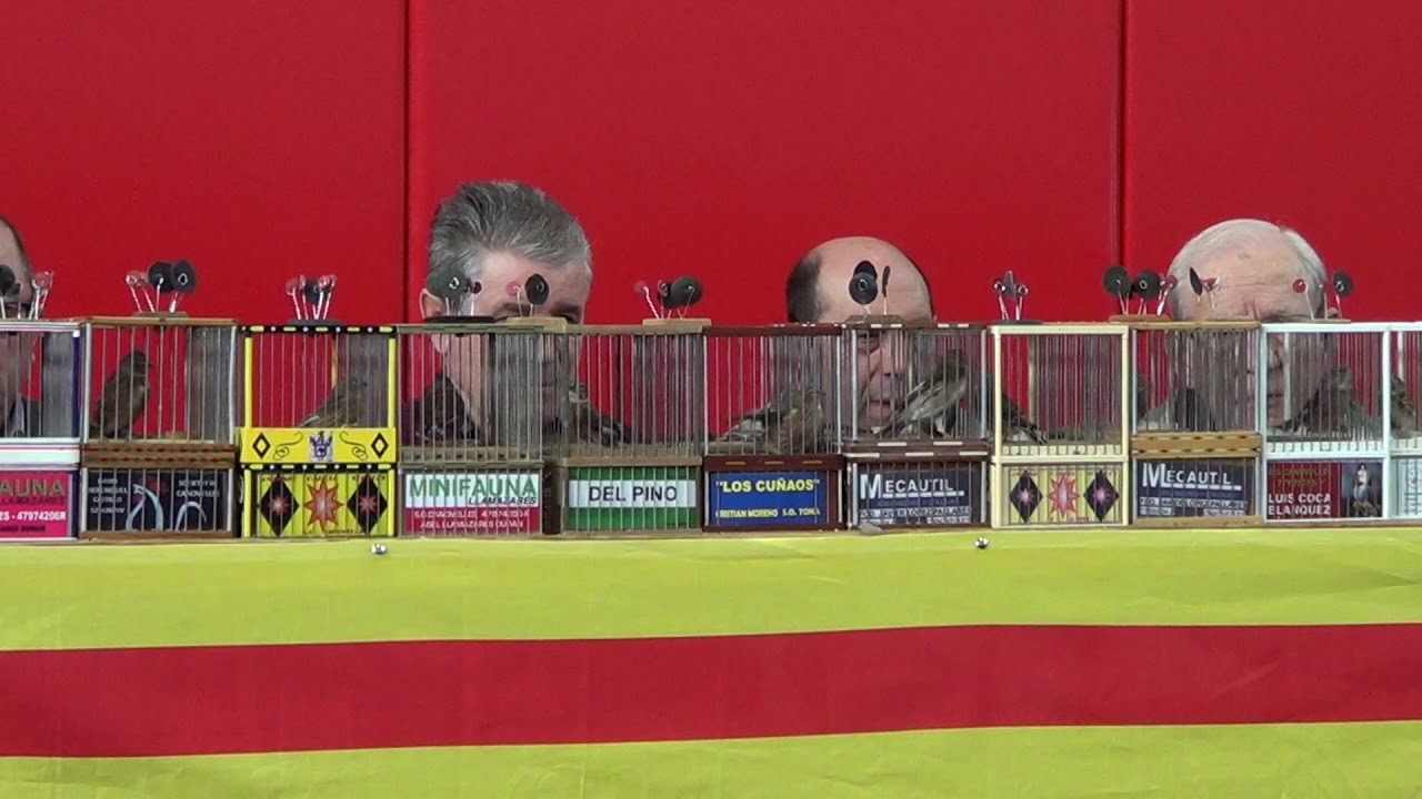 Canovelles 3-03-2018 Pardillos-3