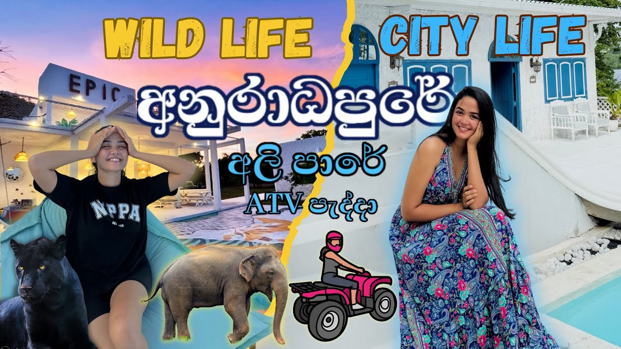 විල්පත්තු අලි ඉන්න කැලේ මැද ලස්සන Resort එකක හිටියා 🐘😰 | අනුරාධපරේ ලස්සන Hotels දෙකක හිටියා😍|Vlog 2