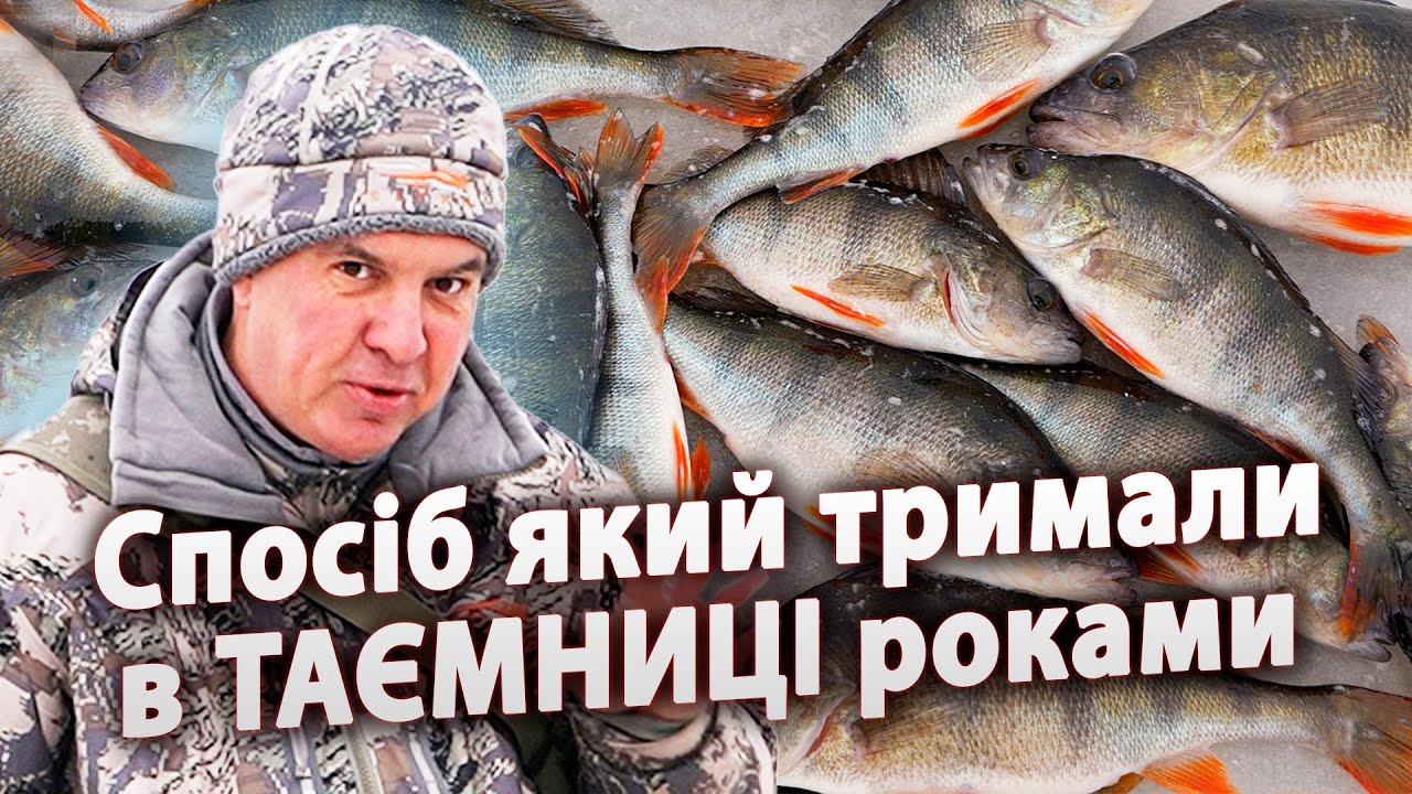 ОКУНЬ ЛОВИТЬСЯ МІШКАМИ.