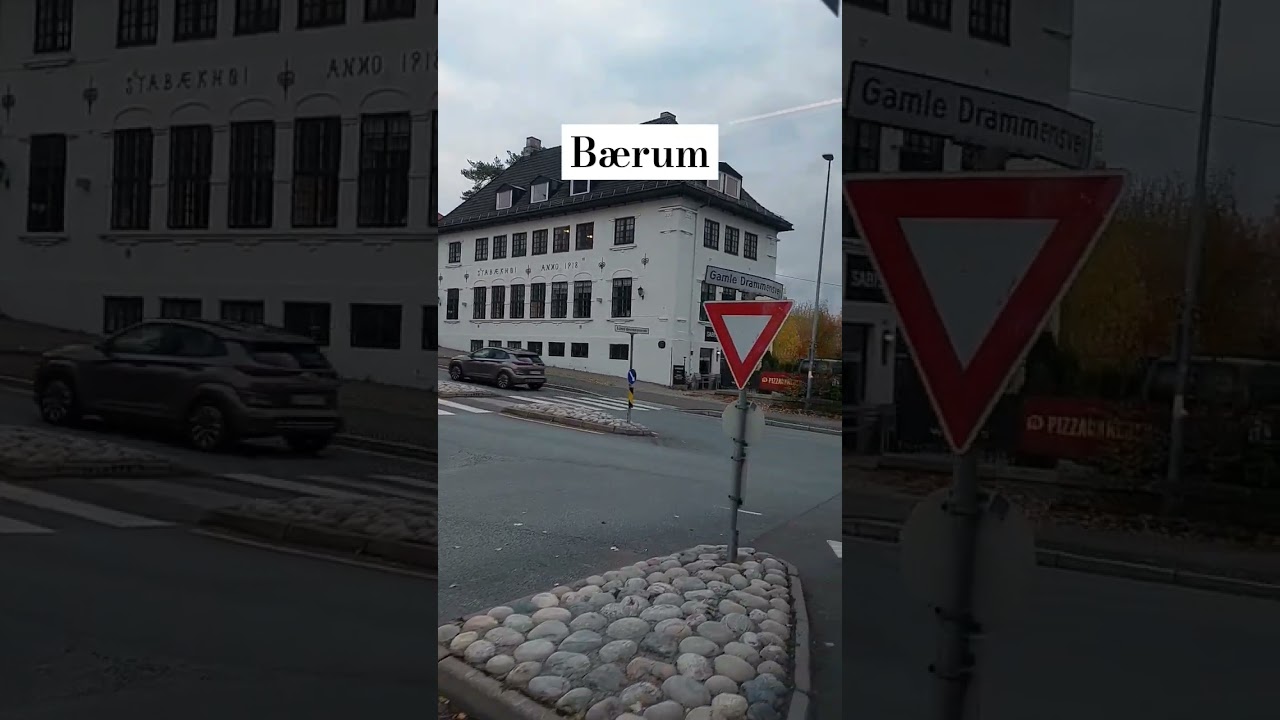 27.10.2023 #norway #noruega #b&aelig;rum #autumn