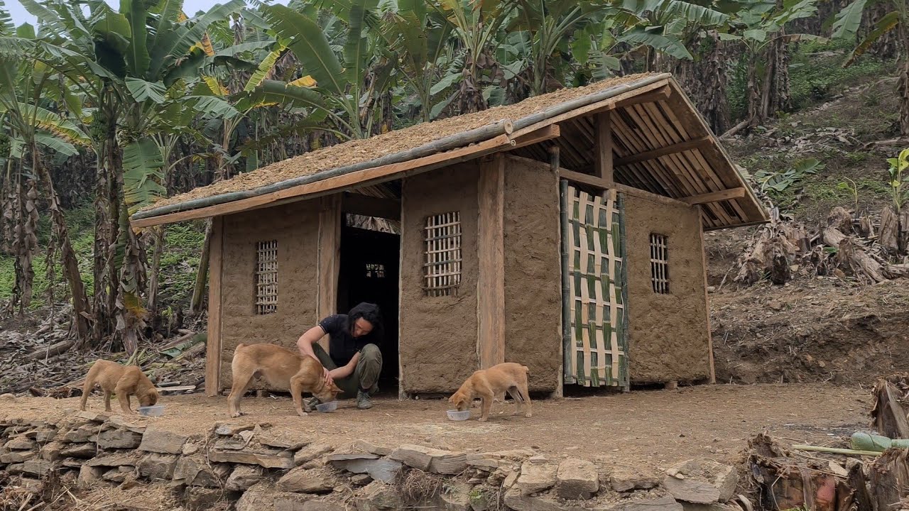 Complete Beautiful Earthen Hut For New Life, Survival Instinct, Wilderness Alone, Ep 190