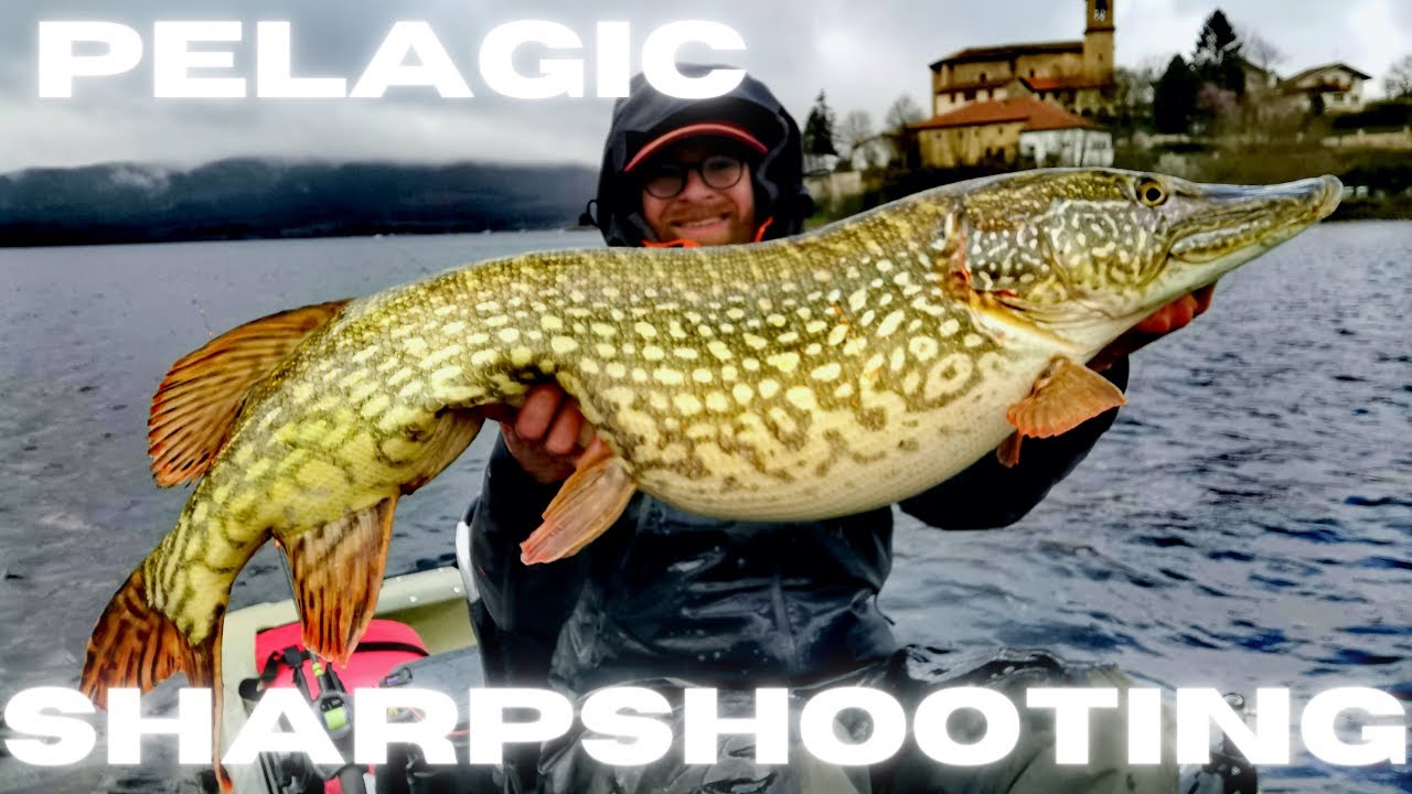 Pêcher des gros poissons en PELAGIQUE!