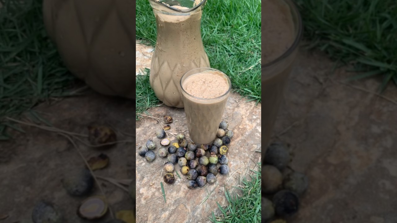 O Suco mais Dif&iacute;cil de Prepara 🥥🍹SUCO DE BACABA #bacaba #suco  #frutas